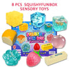 Malt Sugar Squishy Toy Set